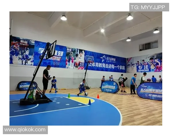 南京羽毛球队包夹战术革新探讨与未来发展展望